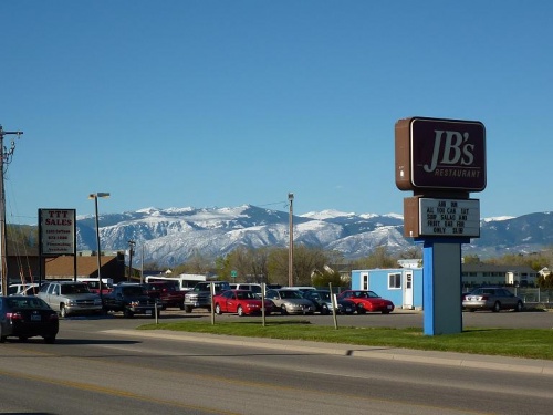 bighorns