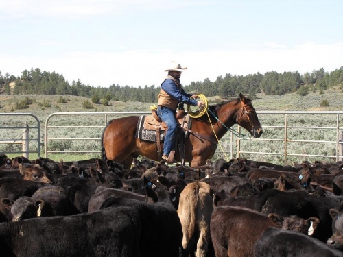 roping